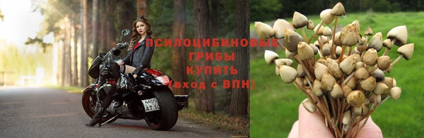 кокаин премиум Михайлов