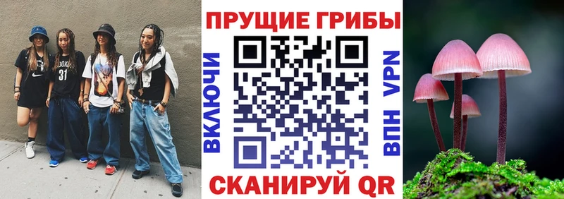 Галлюциногенные грибы мицелий Купить закладки Ирбит